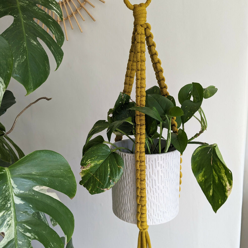 XL Plant Hanger