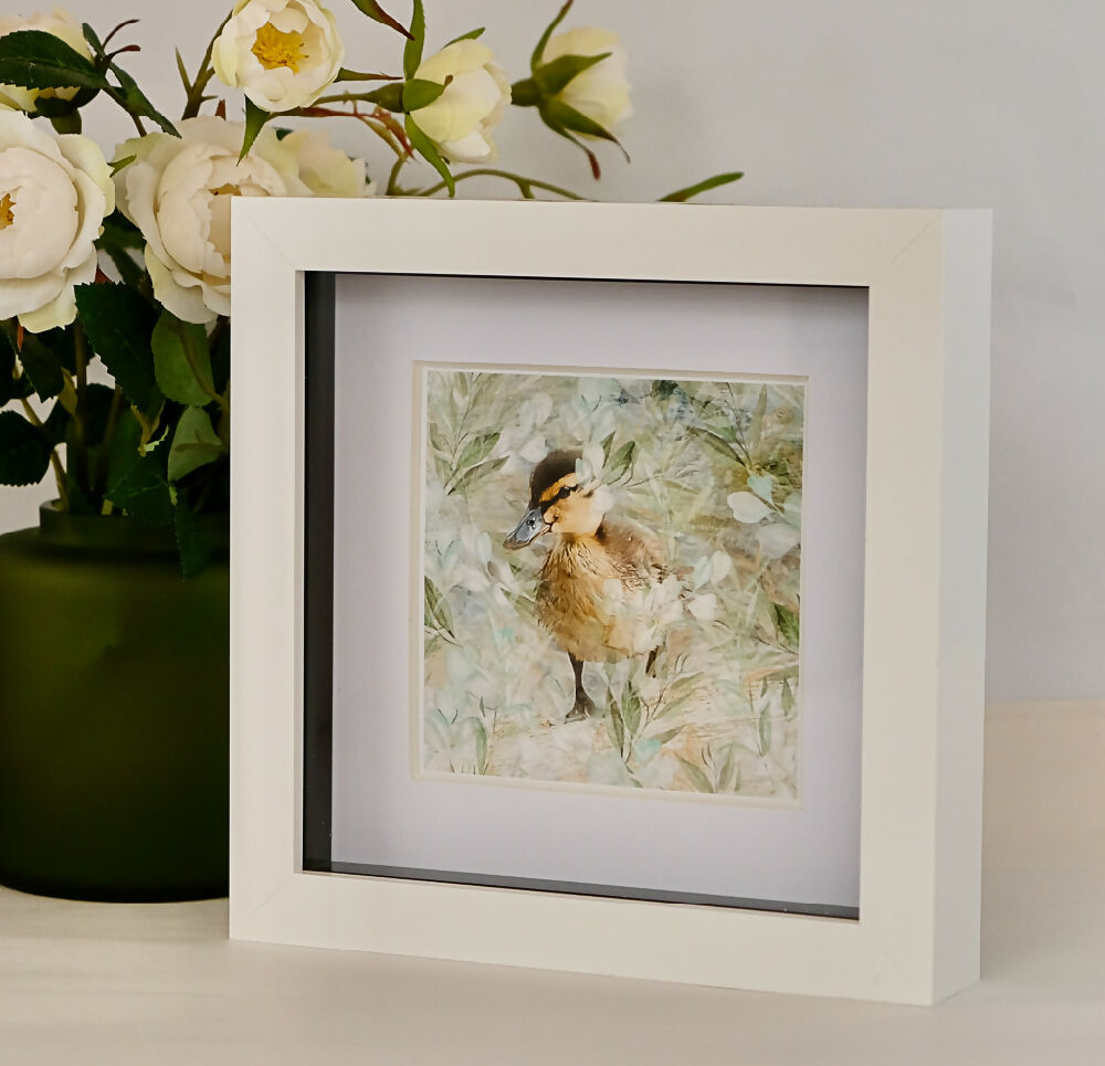 DUCKLING PRINT IN SMALL BOX FRAME - "DUCKLING LEAVES.."
