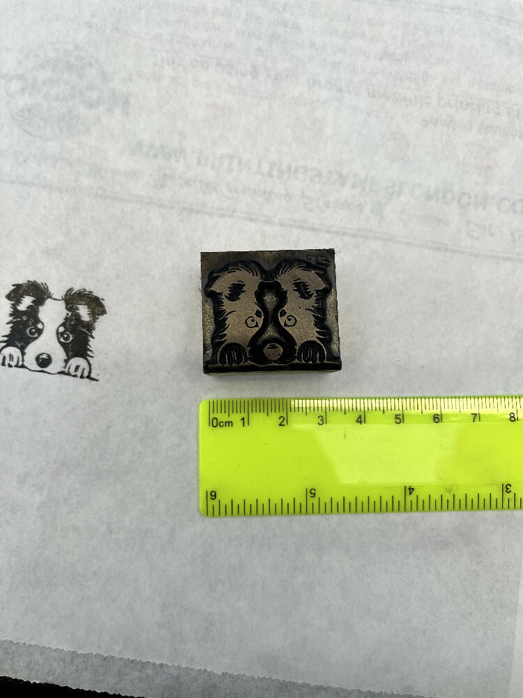 BOARDER COLLIE DOGS HEAD IN BRONZE