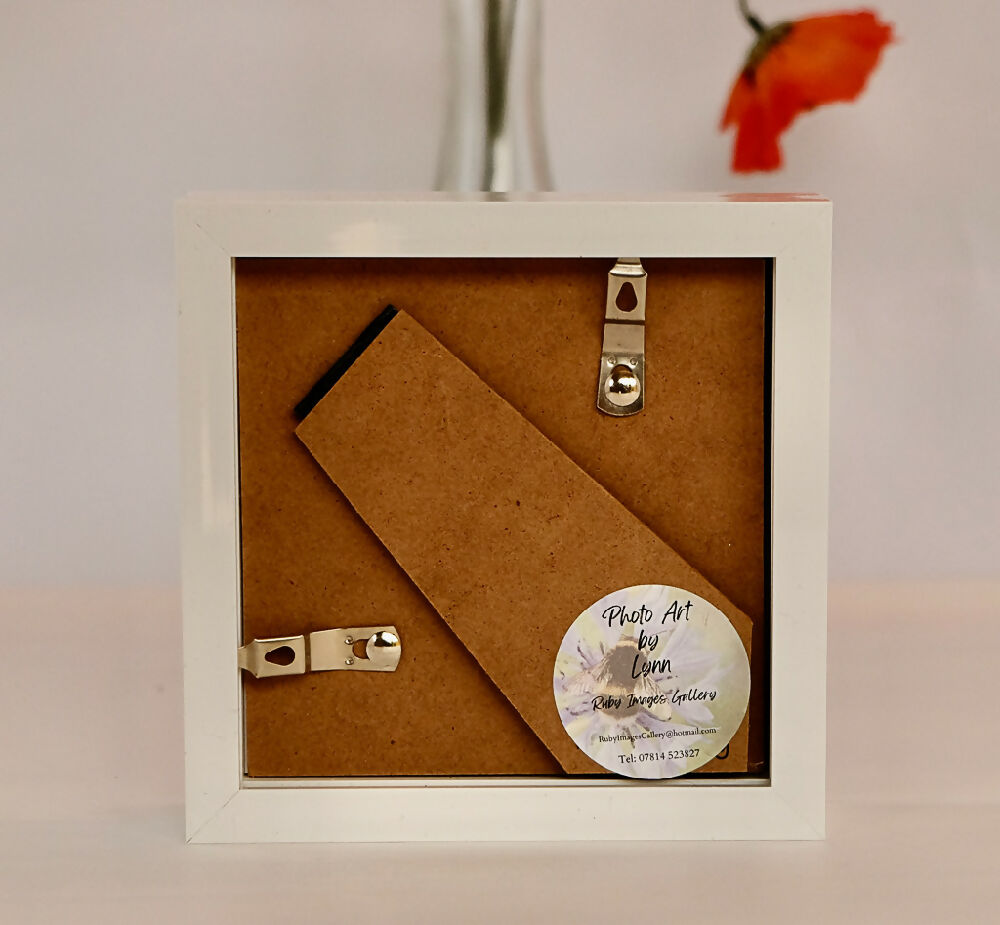 FLORAL PRINT IN MINI BOX FRAME - "ORANGE ROSE"