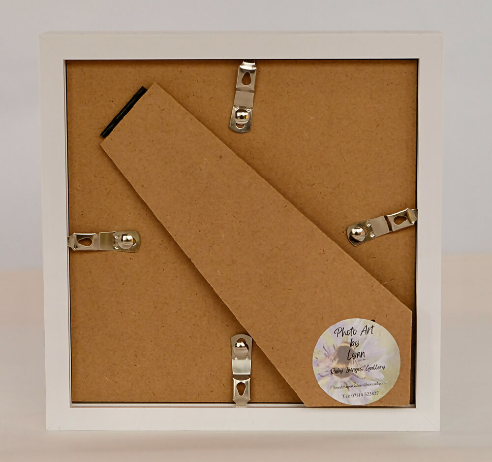 DUCKLING PRINT IN SMALL BOX FRAME - "DUCKLING LEAVES.."