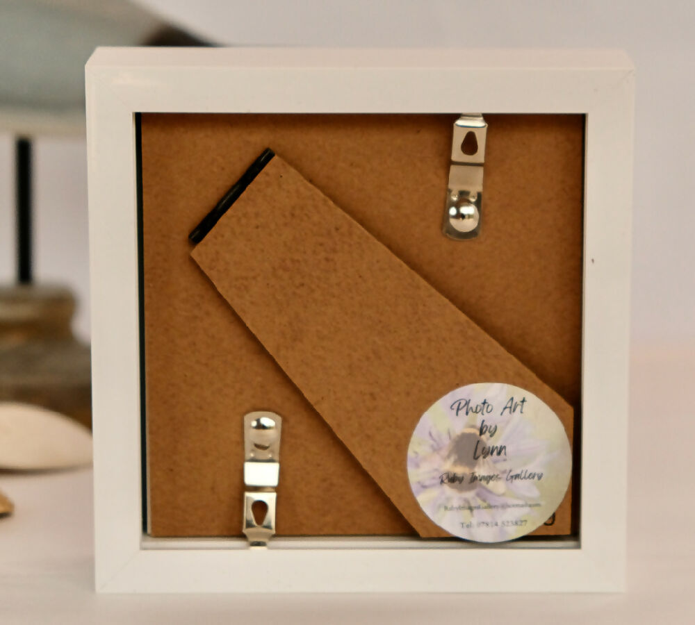 PUFFIN PRINT IN MINI FRAME - "CATCH OF THE DAY"