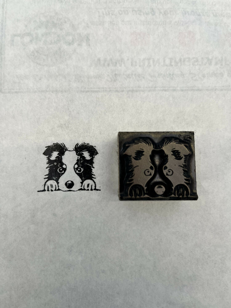 BOARDER COLLIE DOGS HEAD IN BRONZE
