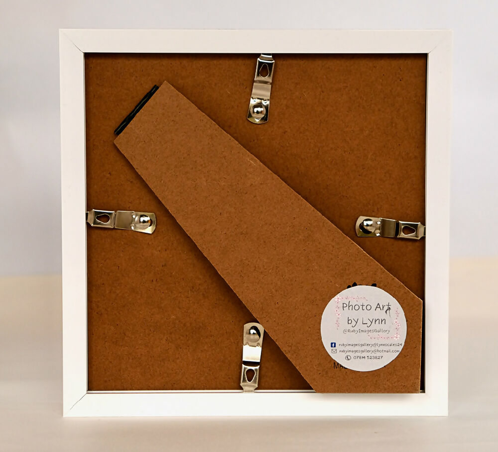 ABSTRACT POPPY FIELD PRINT IN SMALL BOX FRAME - "POPPY FIELD"