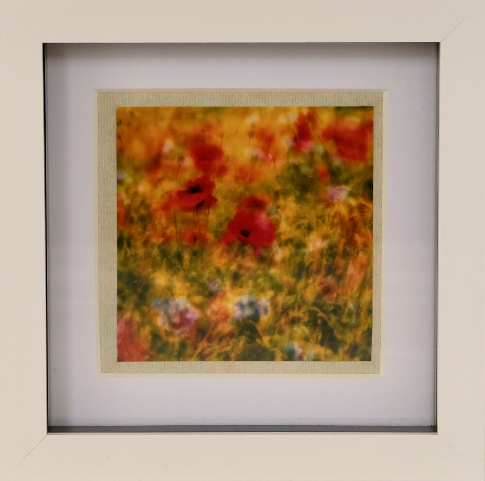 ABSTRACT POPPY FIELD PRINT IN SMALL BOX FRAME - "POPPY FIELD"