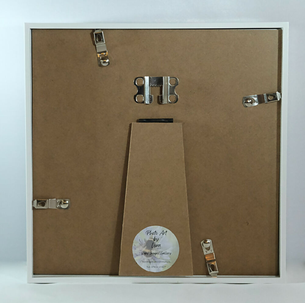 ABSTRACT POPPY PRINT IN 3D FRAME - "POPPY FIELD"