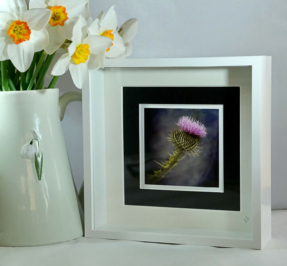 THISTLE PRINT IN 3D BOX FRAME