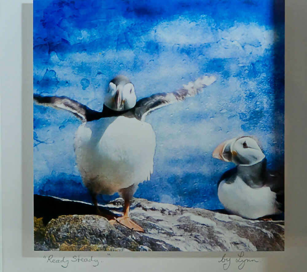 PUFFIN PRINT IN 3D BOX FRAME - "READY STEADY"