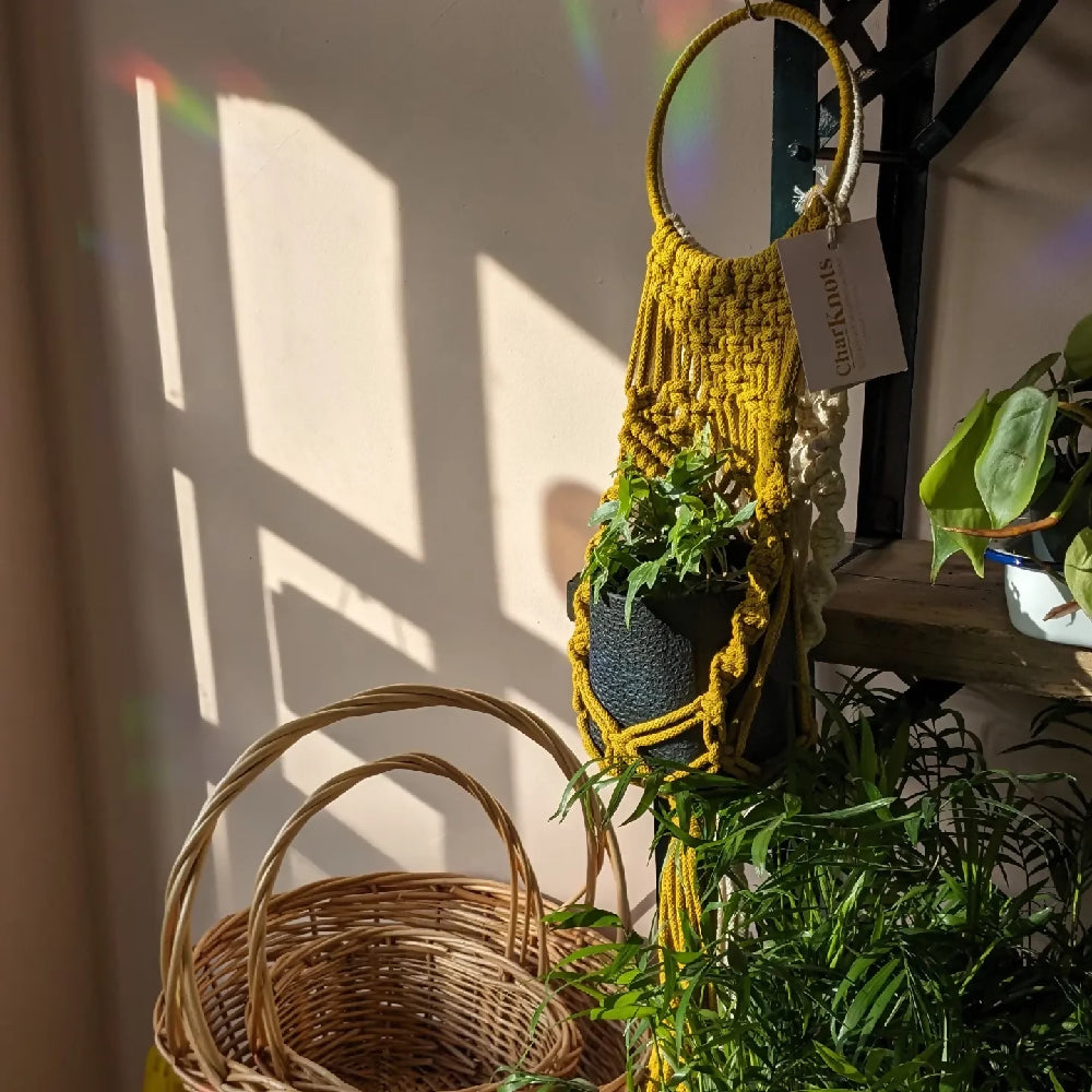 IMG_20240306_130759_186