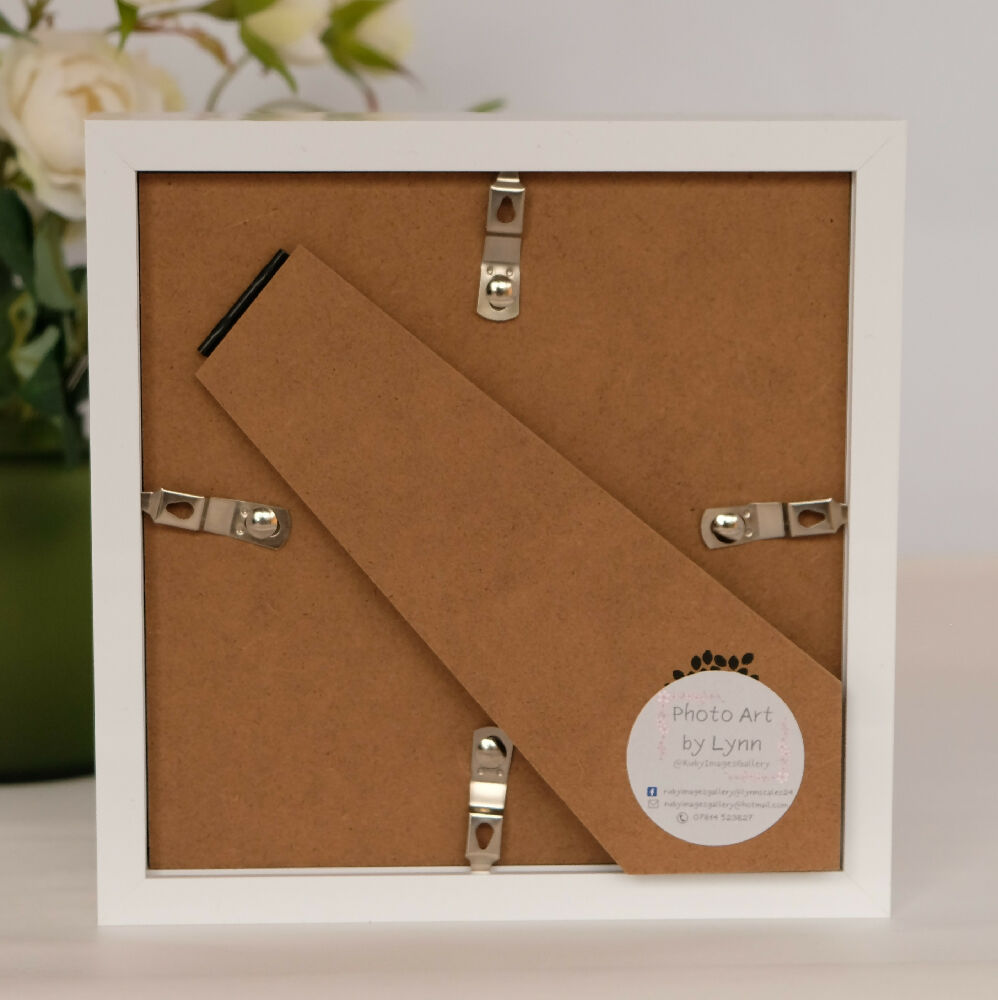 LARKSPUR PRINT IN SMALL BOX FRAME - "LILAC LARKSPUR"