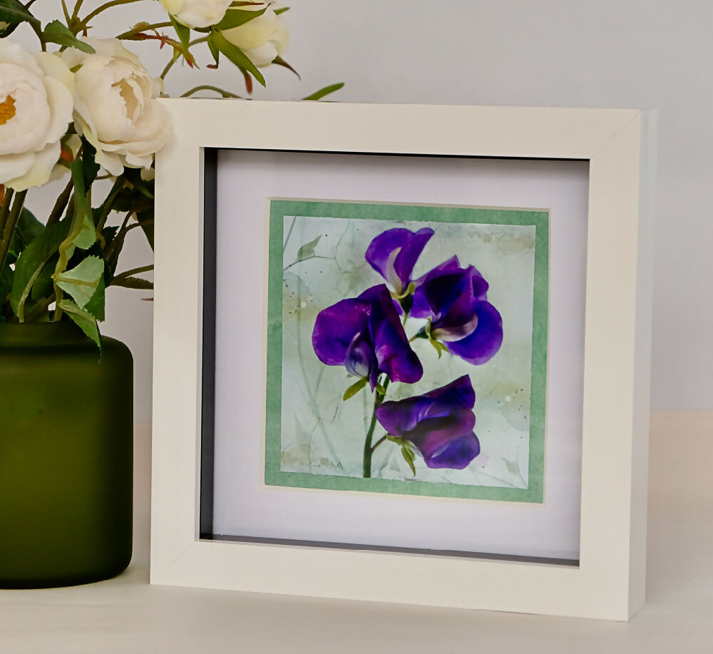 FLORAL PRINT OF SWEET PEAS IN SMALL BOX FRAME - "PURPLE SWEET PEAS"