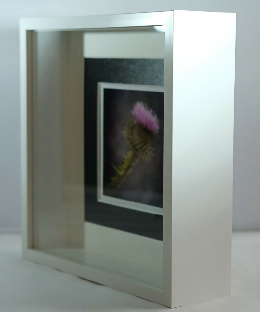 THISTLE PRINT IN 3D BOX FRAME
