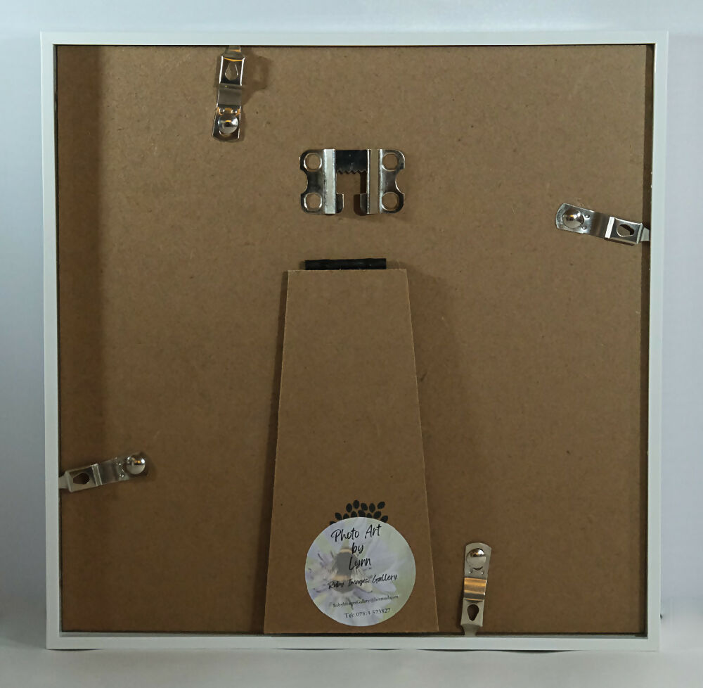 SNOWDROP PRINT IN 3D BOX FRAME "SNOWDROPS"