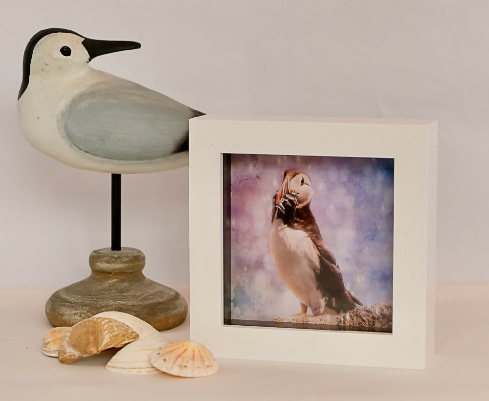 PUFFIN PRINT IN MINI FRAME - "LUNCH TIME"