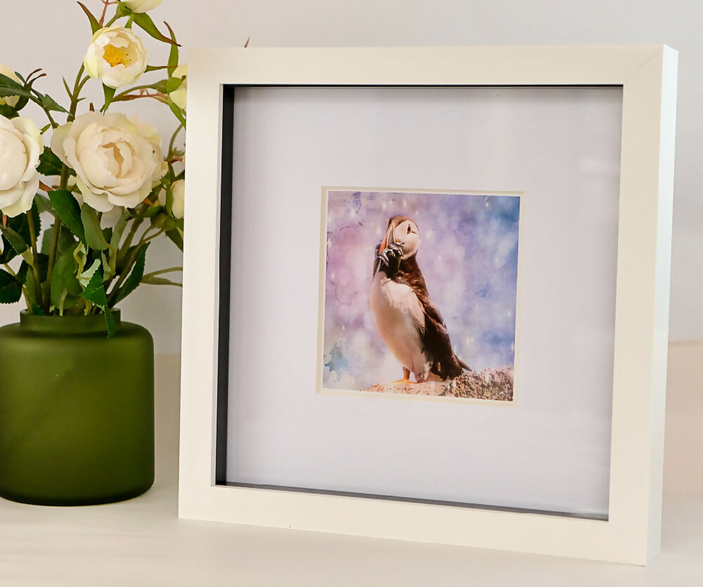 PUFFIN PRINT IN BOX FRAME - "LUNCH TIME"
