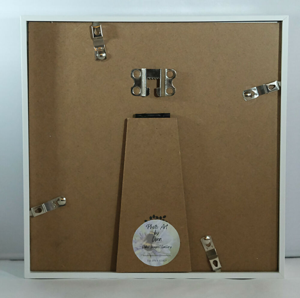 THISTLE PRINT IN 3D BOX FRAME