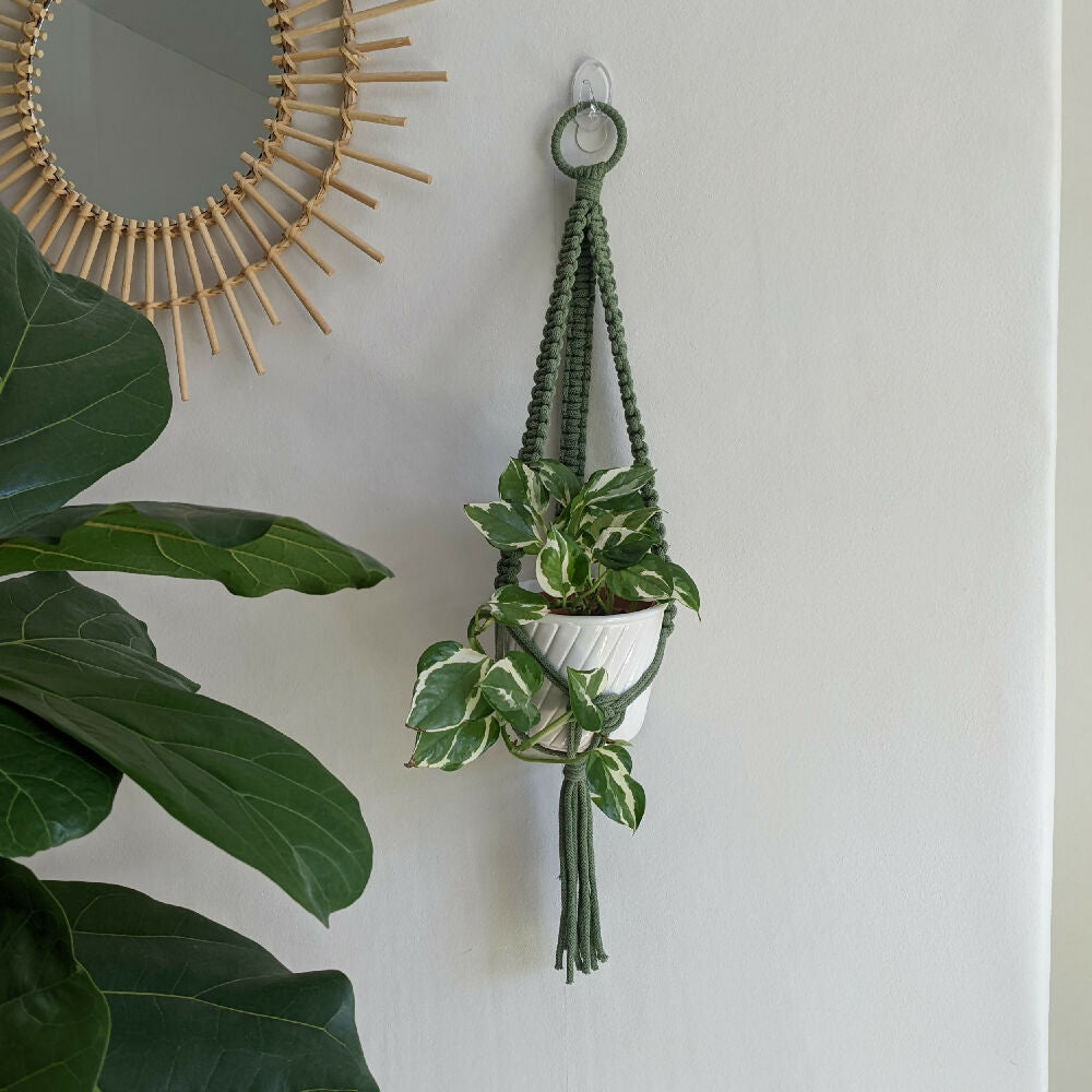 medium macrame plant hanger Medium Macrame Plant Hanger