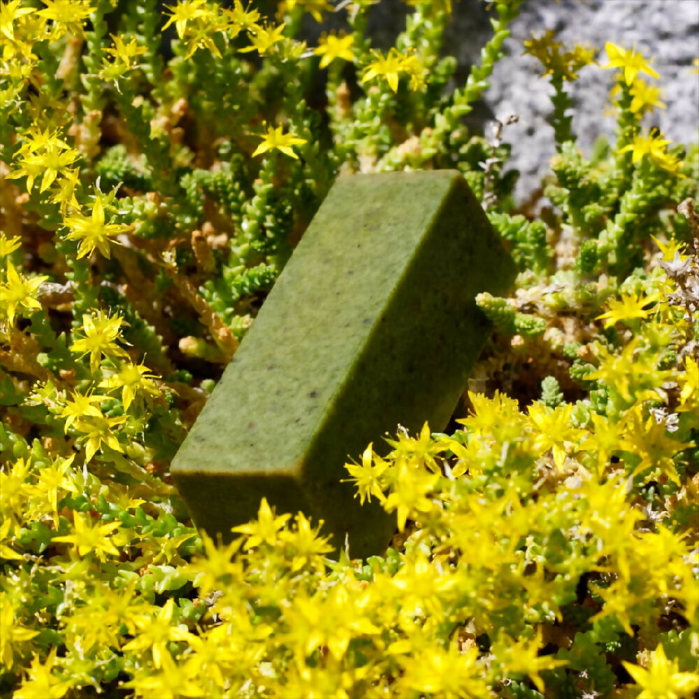 mini-MENTAL BLOCK Nettle + Lemongrass Soap
