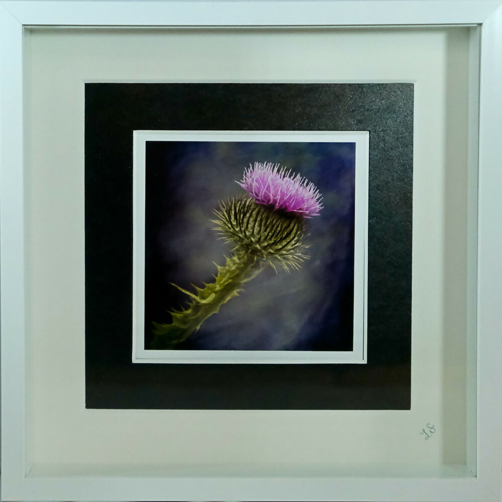 THISTLE PRINT IN 3D BOX FRAME
