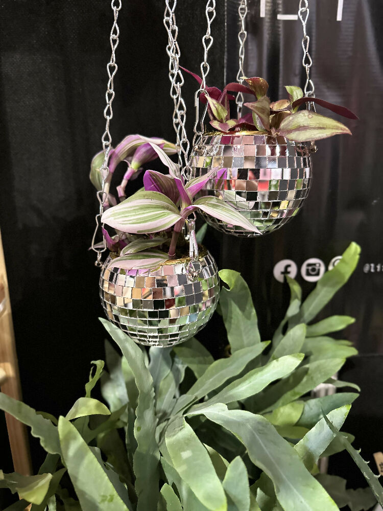 Silver Disco ball hanging planter