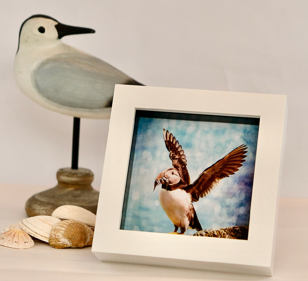 PUFFIN PRINT IN MINI FRAME - "CATCH OF THE DAY"