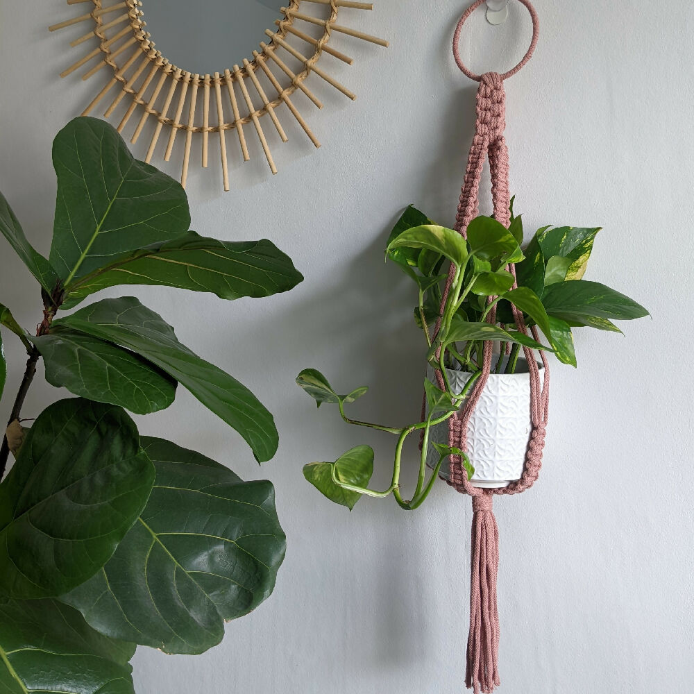 pink statement plant hanger