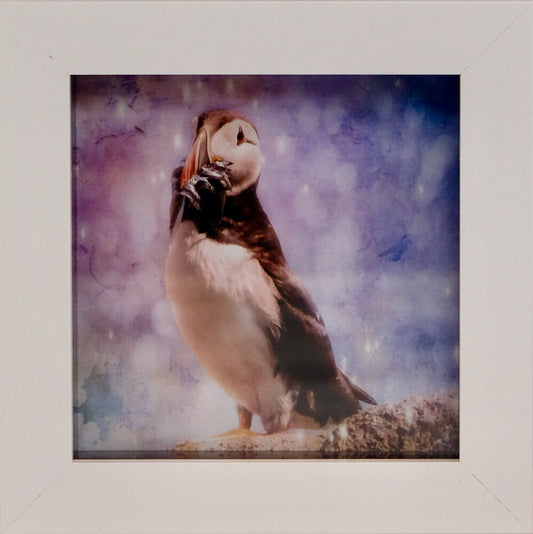 PUFFIN PRINT IN MINI FRAME - "LUNCH TIME"