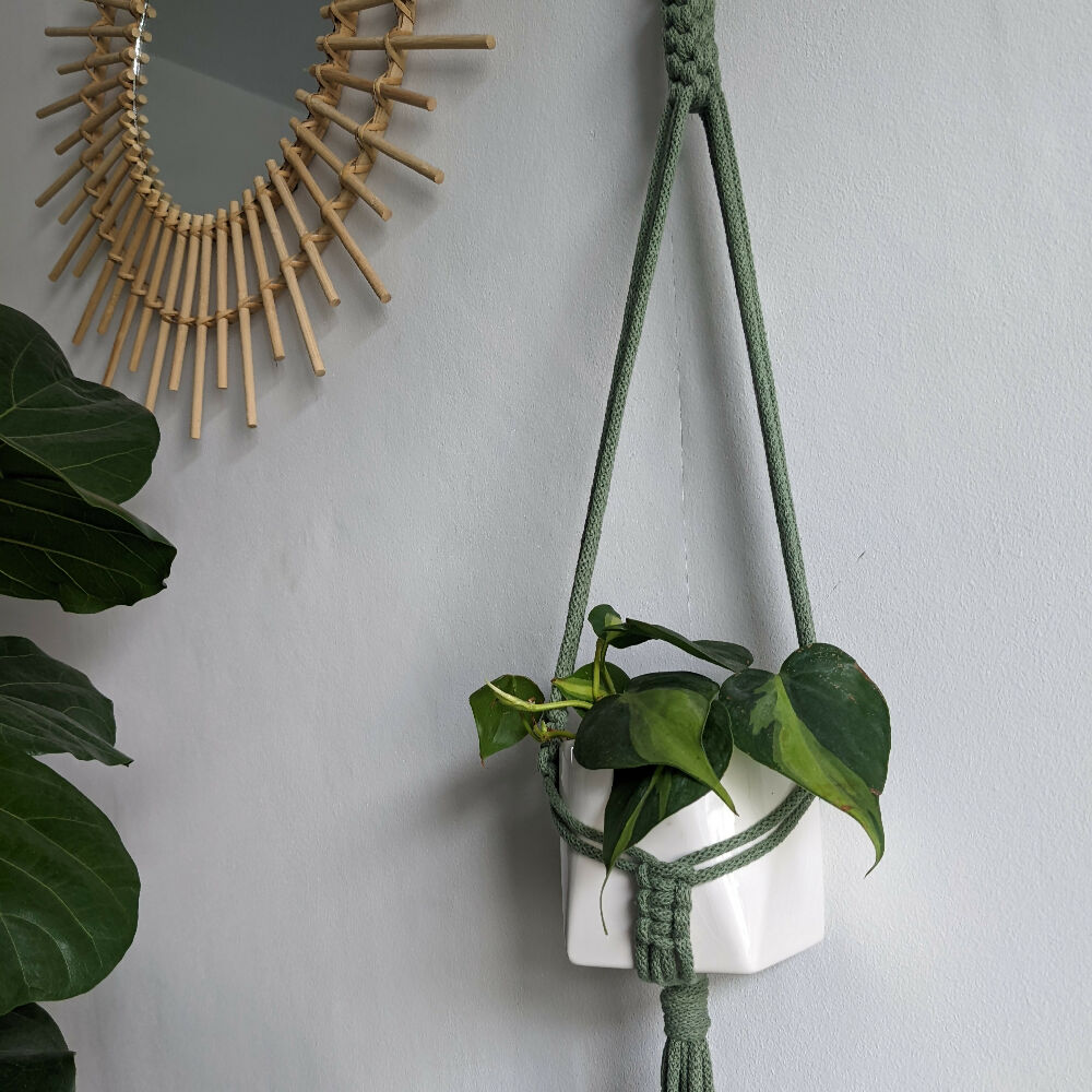 green minimal plant hanger