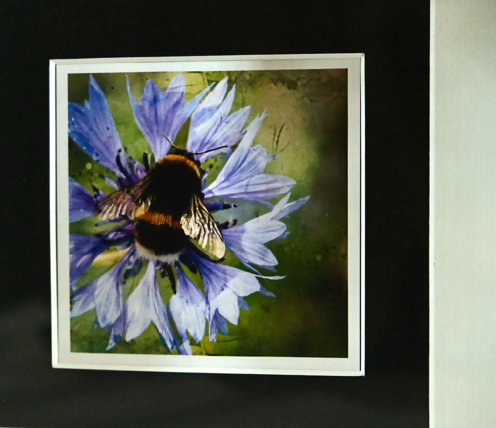 BEE PRINT IN 3D BOX FRAME