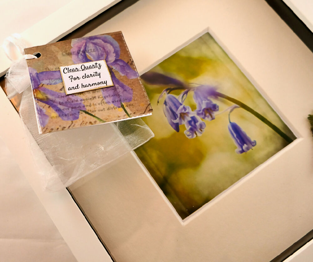 SINGLE BLUEBELL PRINT WITH GEMSTONE - "BLUEBELL WITH CLEAR QUARTZ"