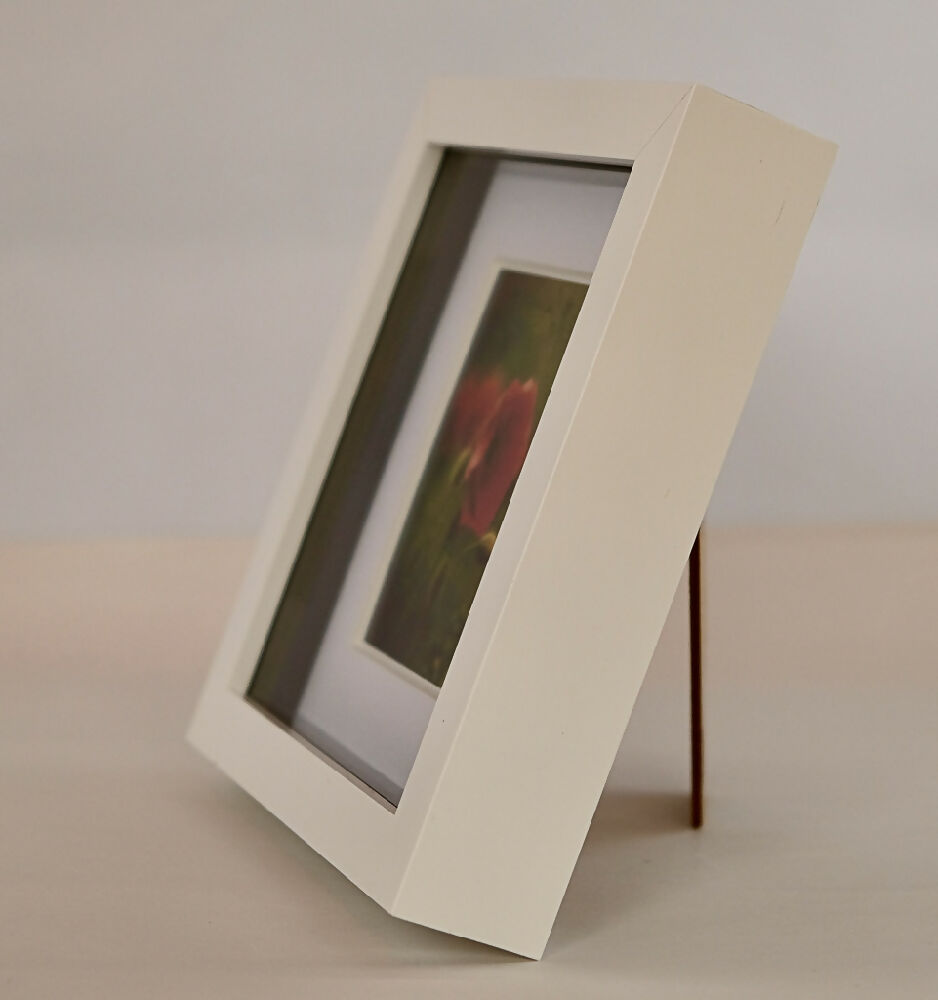 POPPY PRINT IN SMALL BOX FRAME - "LONE POPPY"