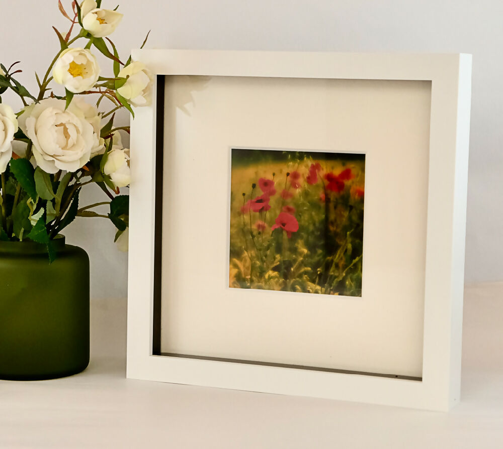 POPPY PRINT IN BOX FRAME - "FIELD OF POPPIES"