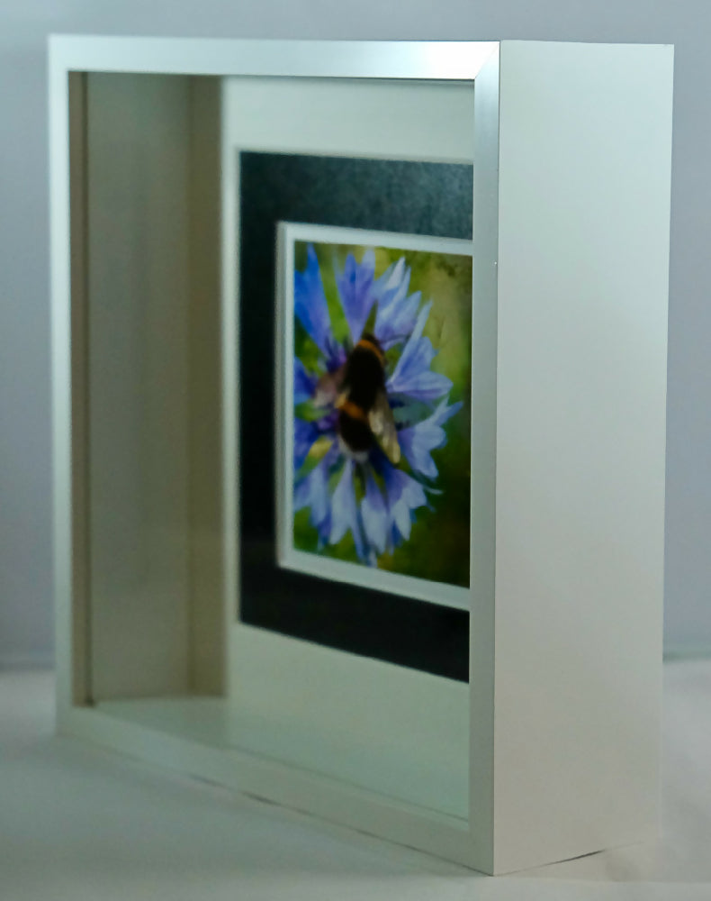 BEE PRINT IN 3D BOX FRAME