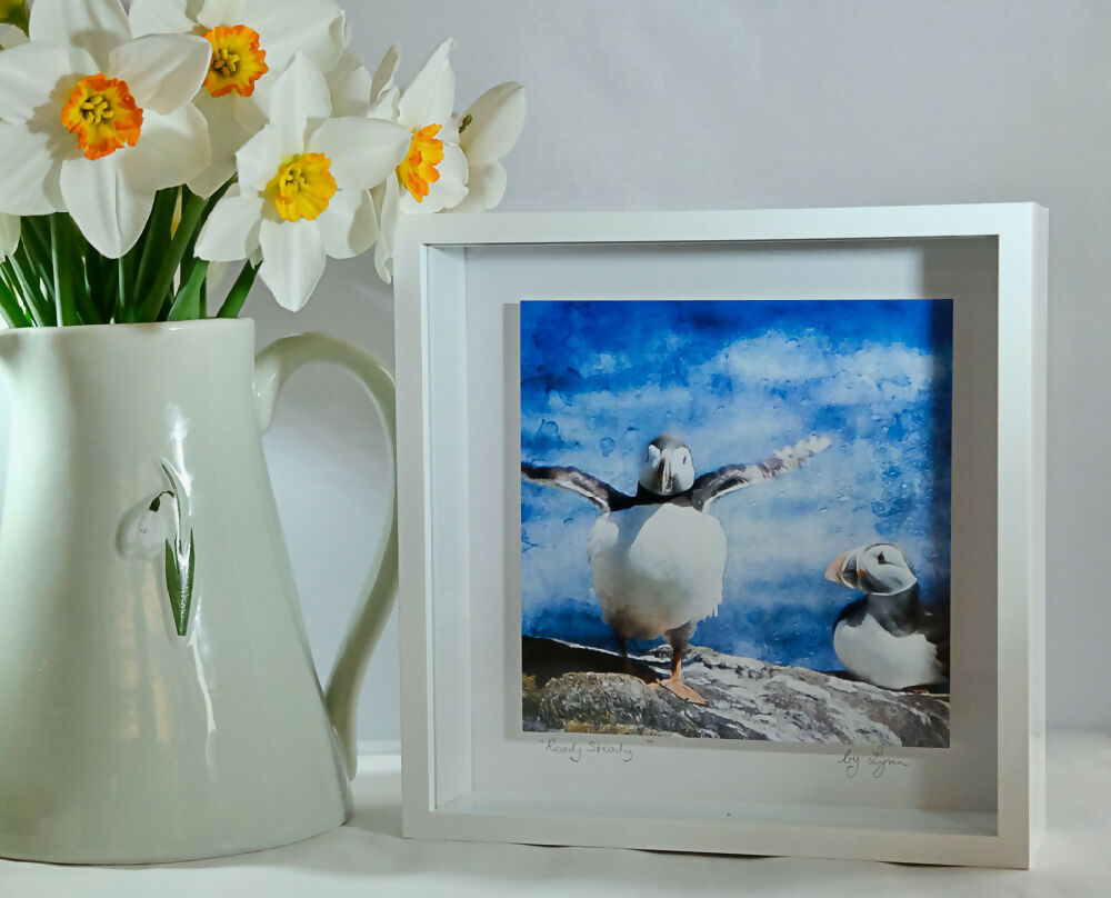PUFFIN PRINT IN 3D BOX FRAME - "READY STEADY"