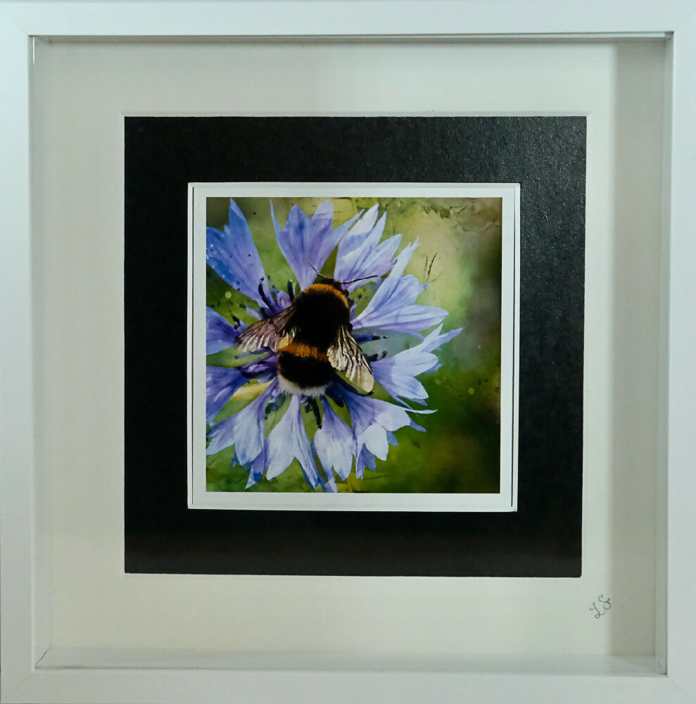 BEE PRINT IN 3D BOX FRAME
