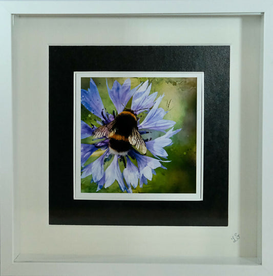 BEE PRINT IN 3D BOX FRAME