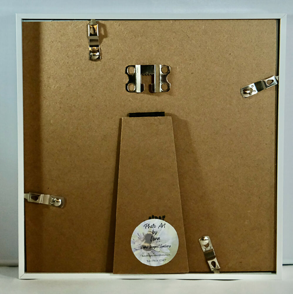 BEE PRINT IN 3D BOX FRAME