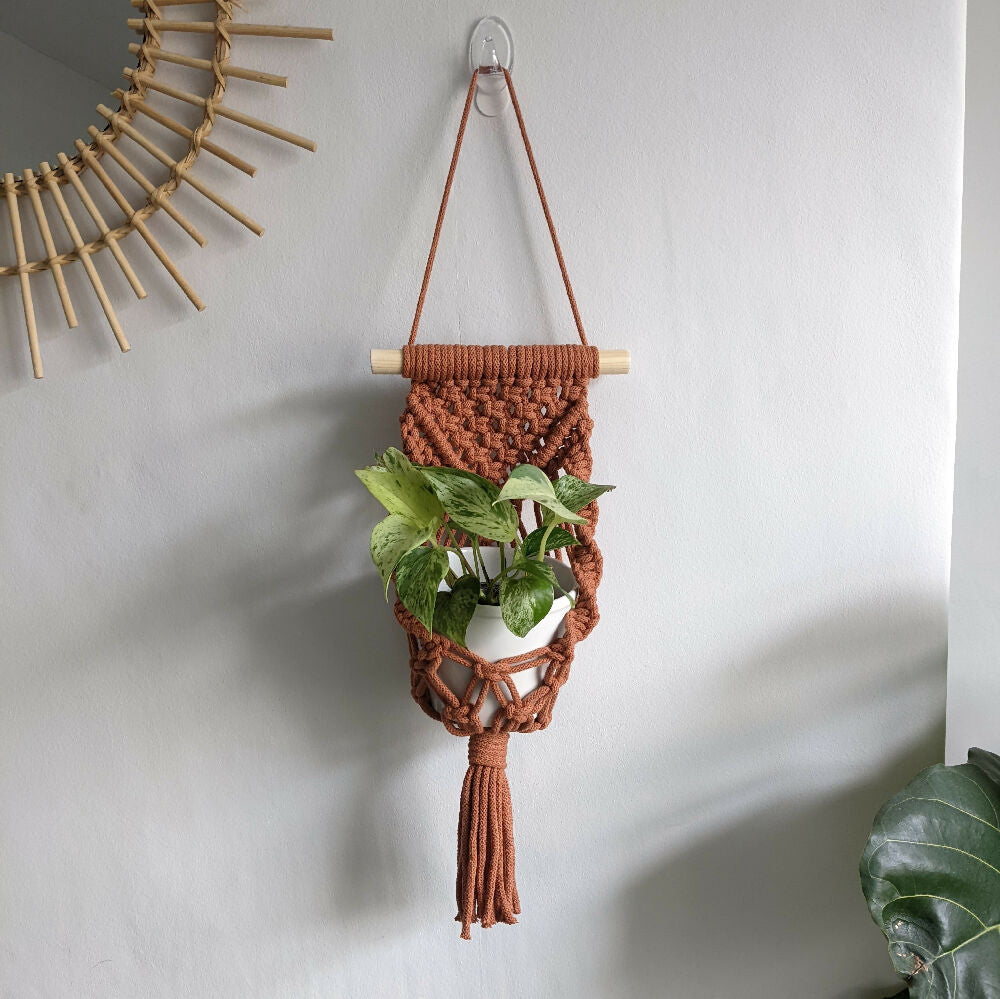 Macrame Wall Planter